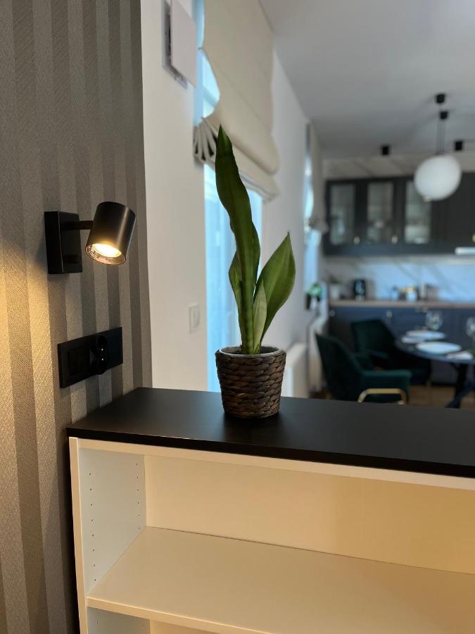 Apartment Halo Breslau